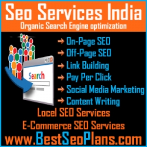 The best Seo Services Company In Chandigarh